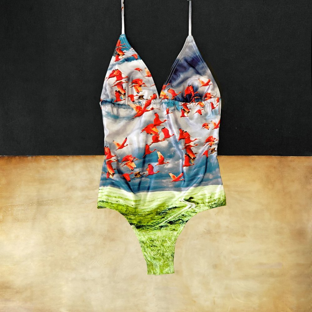 Brand New We Are Handsome Flamingo Swimsuit